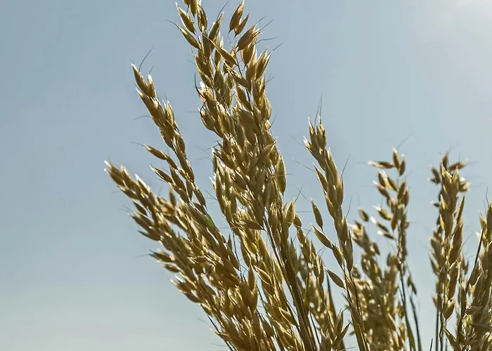 شقة فندقية Marone 4*