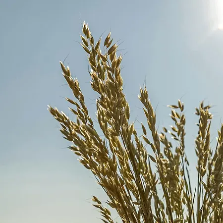 Апарт-отель Marone 4*